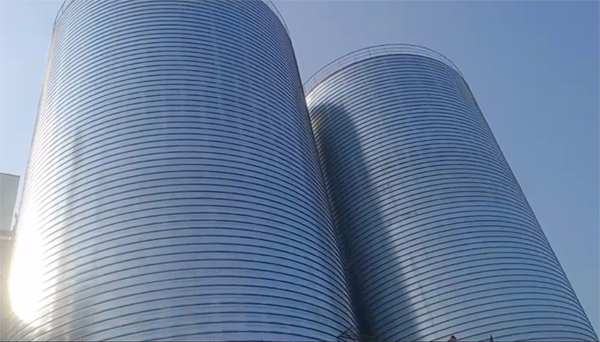 突泉2座混凝土高架卷板仓